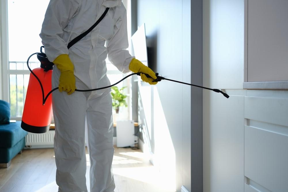 Mould remediation expert getting rid of mould spores on walls